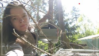 Спасение птенцов после срубленной ели
